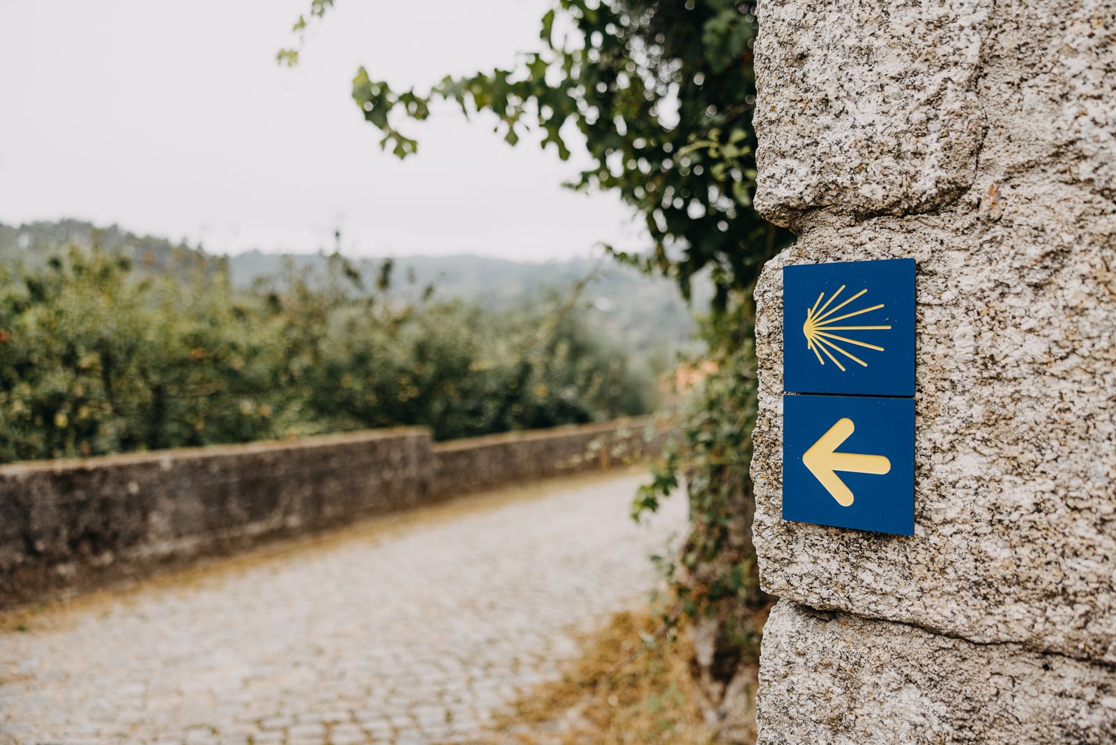 Aminhos-de-Santiago_TCP_Viseu_Moes-scaled