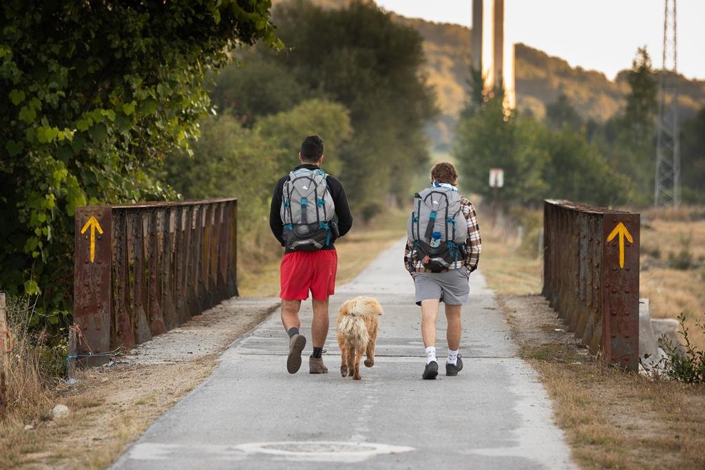 doc201908142684101204_pc_1408201938428458defaultlarge_1024